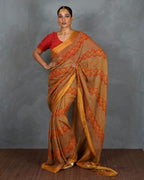 saree poses| saree for women| saree draping