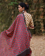 Saree design | Saree poses | Saree readymade | saree draping | chidiyaa