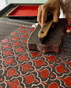 Saree design | Saree poses | Saree readymade | saree draping | chidiyaa