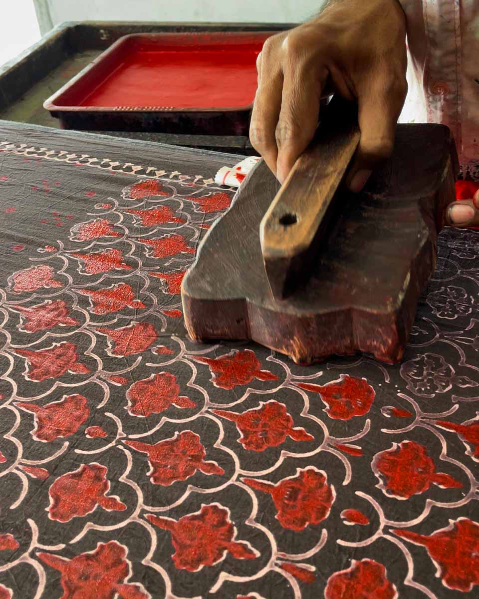 Saree design | Saree poses | Saree readymade | saree draping | chidiyaa