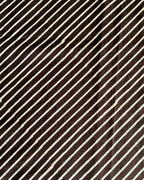 Kaliyon Ka Chaman Brown Block Printed Cotton Blouse - WW