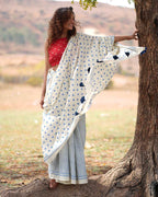saree online | saree poses | cotton saree white