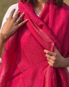 Rosy Blush Pure Wool Zari Shawl