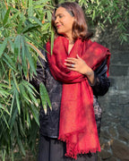 Mulled Magic Pure Wool Zari Shawl