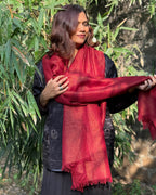 Mulled Magic Pure Wool Zari Shawl