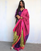 Ahona Handwoven Pure Cotton Viscose Saree - Holi